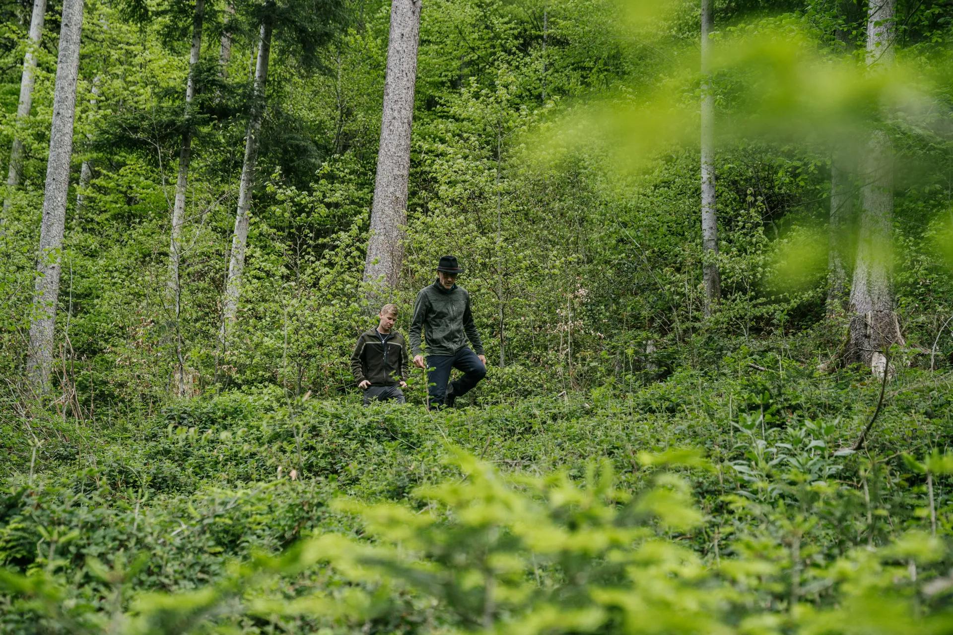 Zwei Förster in einem Wald